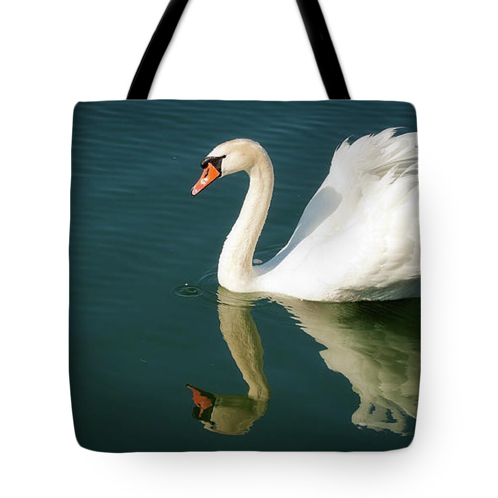 Swan Tote Bag featuring the photograph Graceful white swan floating by Tatiana Travelways