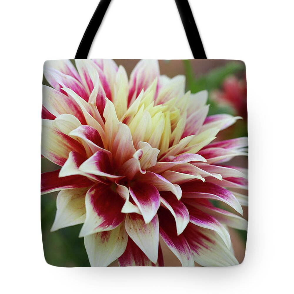 Garden Tote Bag featuring the photograph Gracefully Unfolding II by Mary Anne Delgado