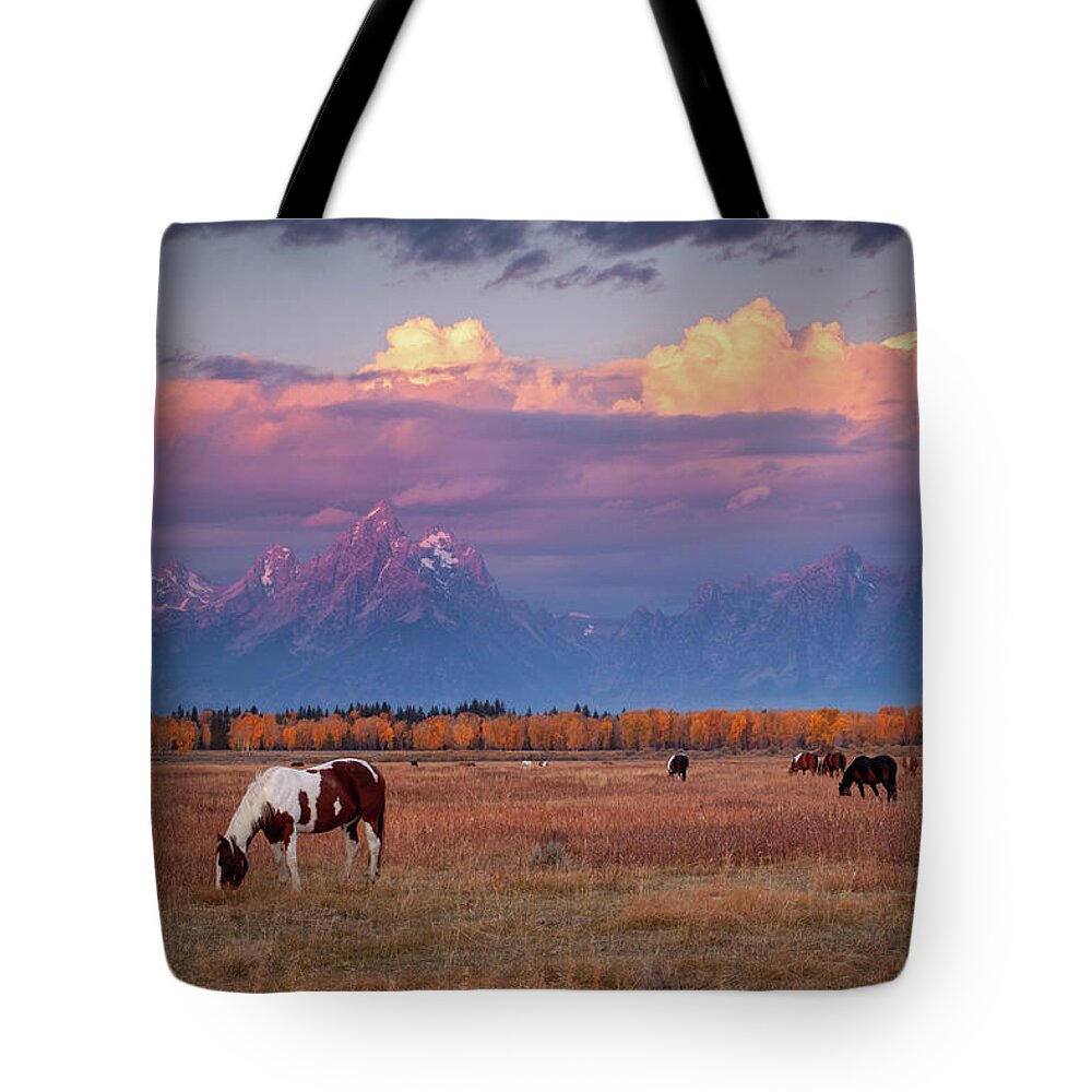 Grand Tetons Tote Bag featuring the photograph Grand Teton Pasture by Wesley Aston
