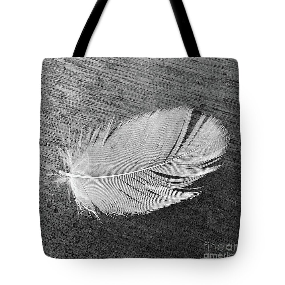 Feather Tote Bag featuring the photograph Grandma's Feather by Wendy Golden