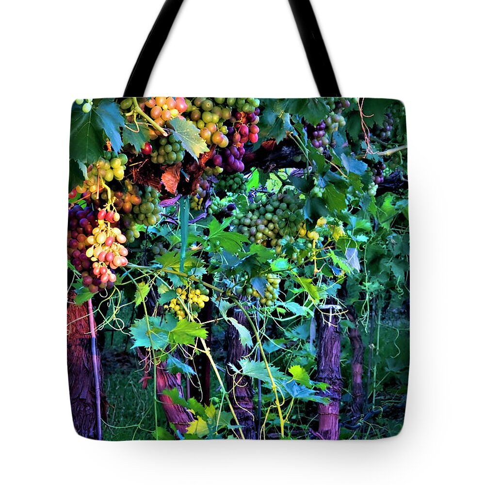 Vineyard Tote Bag featuring the photograph Grapes of Summer by Dan McGeorge