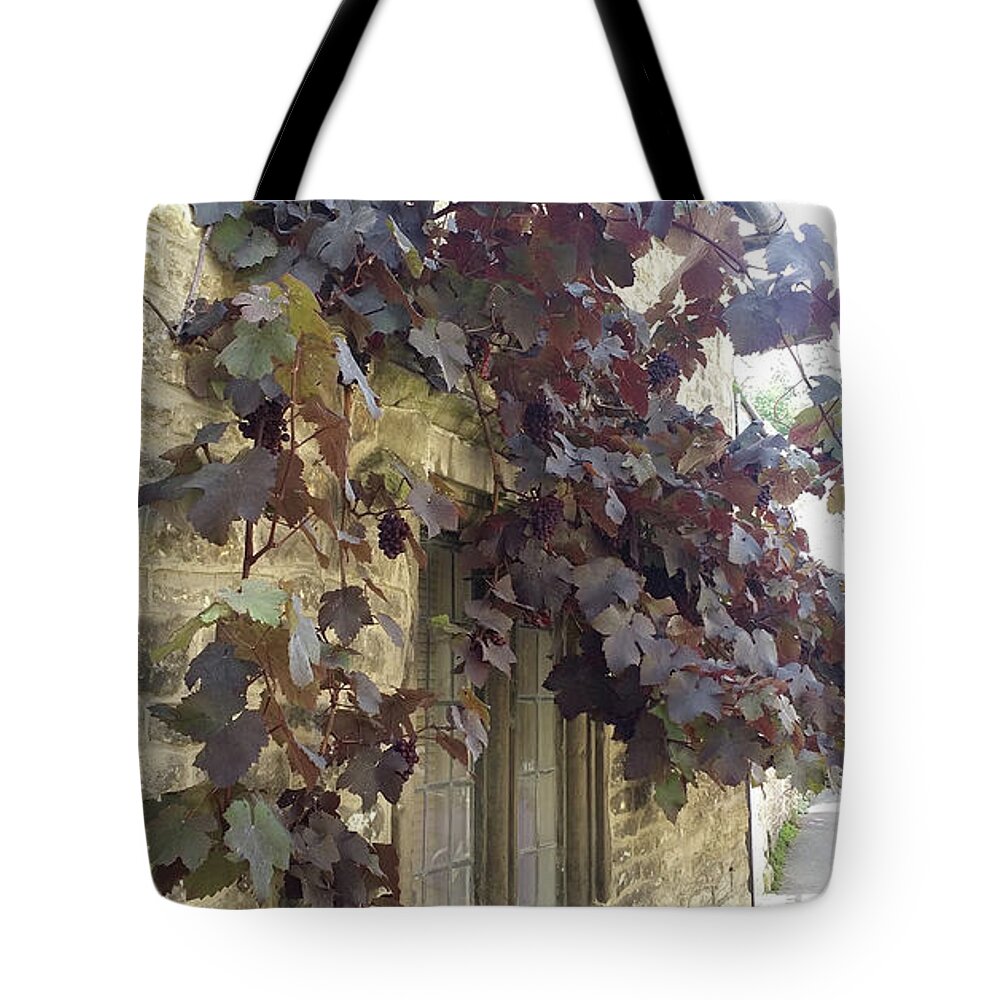 Grapevines Tote Bag featuring the painting Grapes over the Window in Wiltshire by Roxy Rich