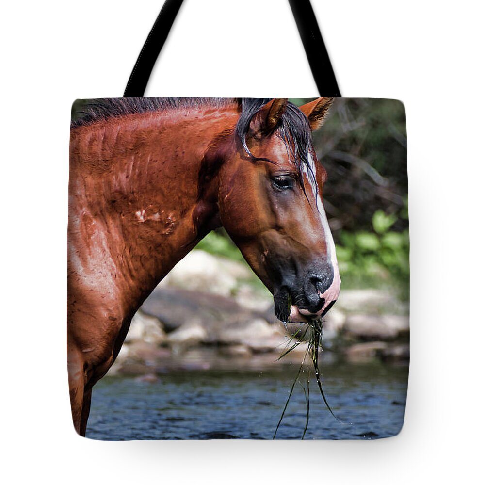 Wild Horses Tote Bag featuring the photograph Grass Lunch by American Landscapes