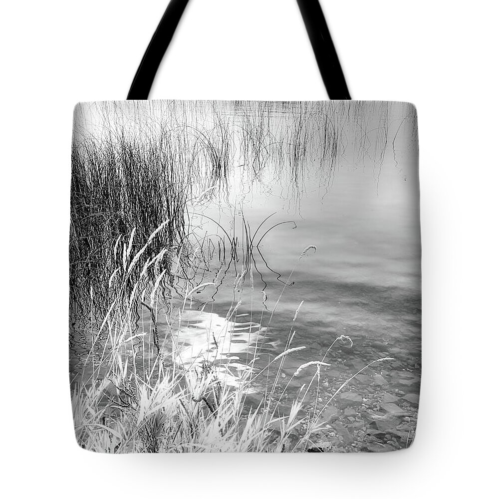 Black And White Photography Tote Bag featuring the photograph Grasses and Reeds Black and White by Allan Van Gasbeck