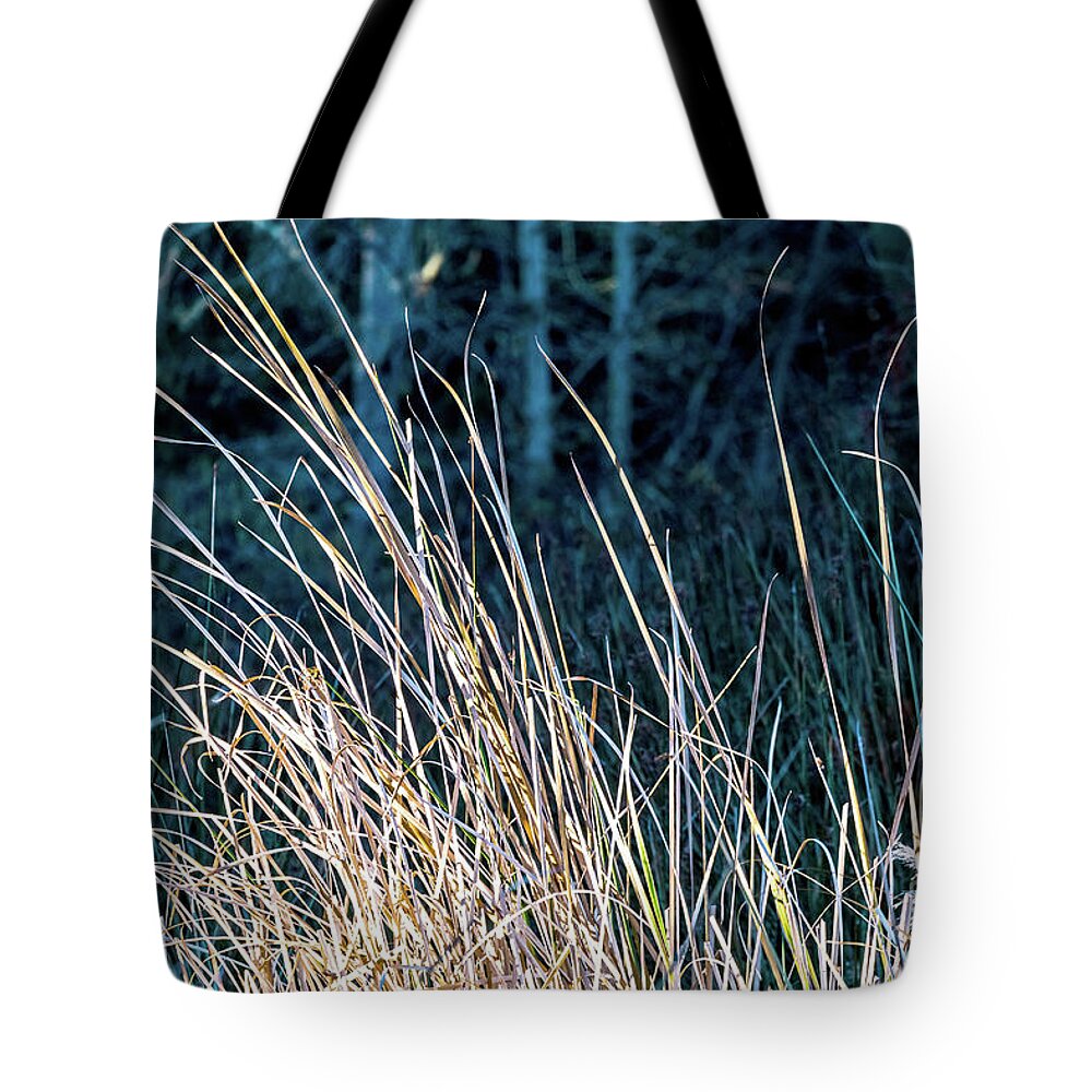 Reeds Tote Bag featuring the photograph Grasses by Kate Brown