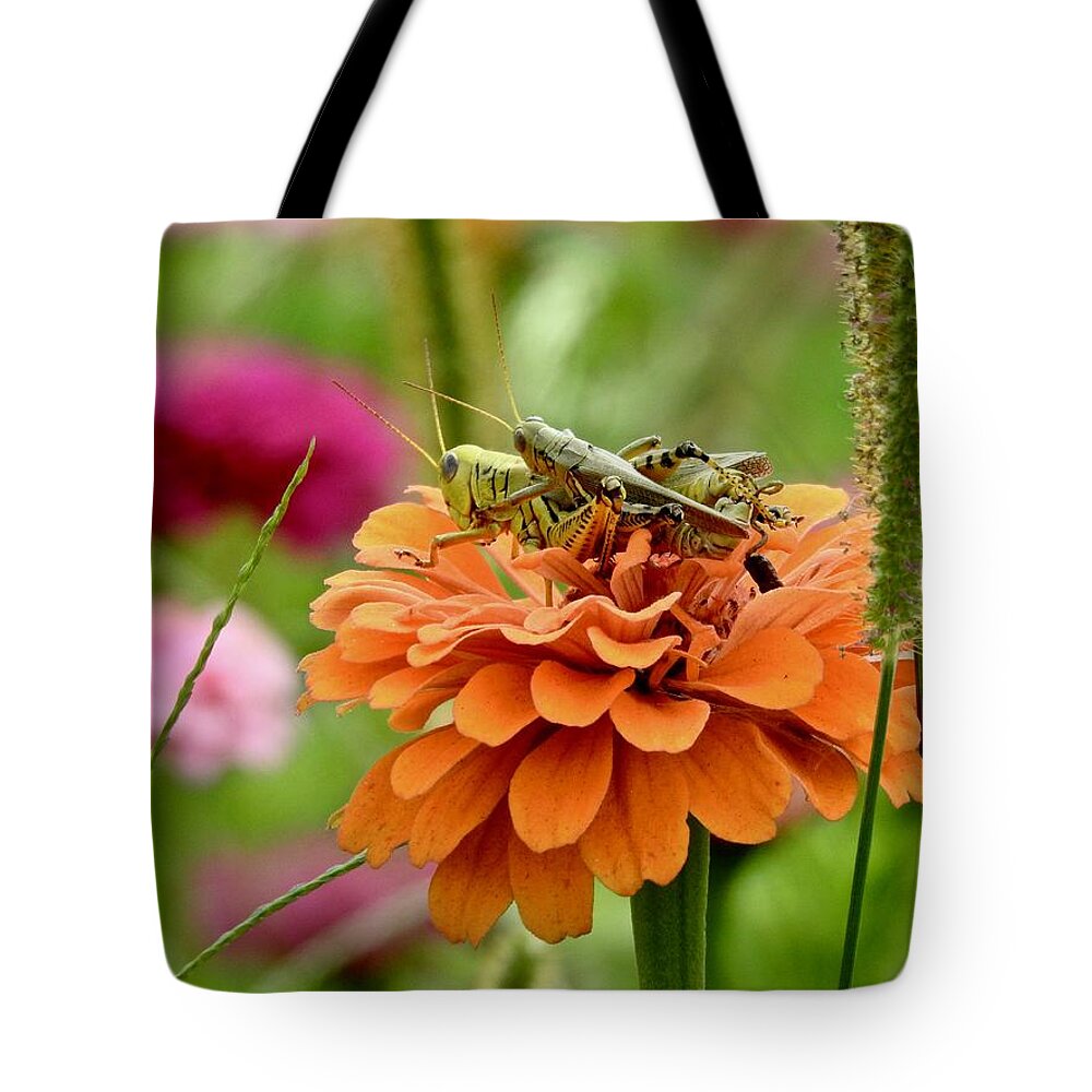 Grasshopper Love Tote Bag featuring the photograph Grasshopper Love by Kathy Ozzard Chism