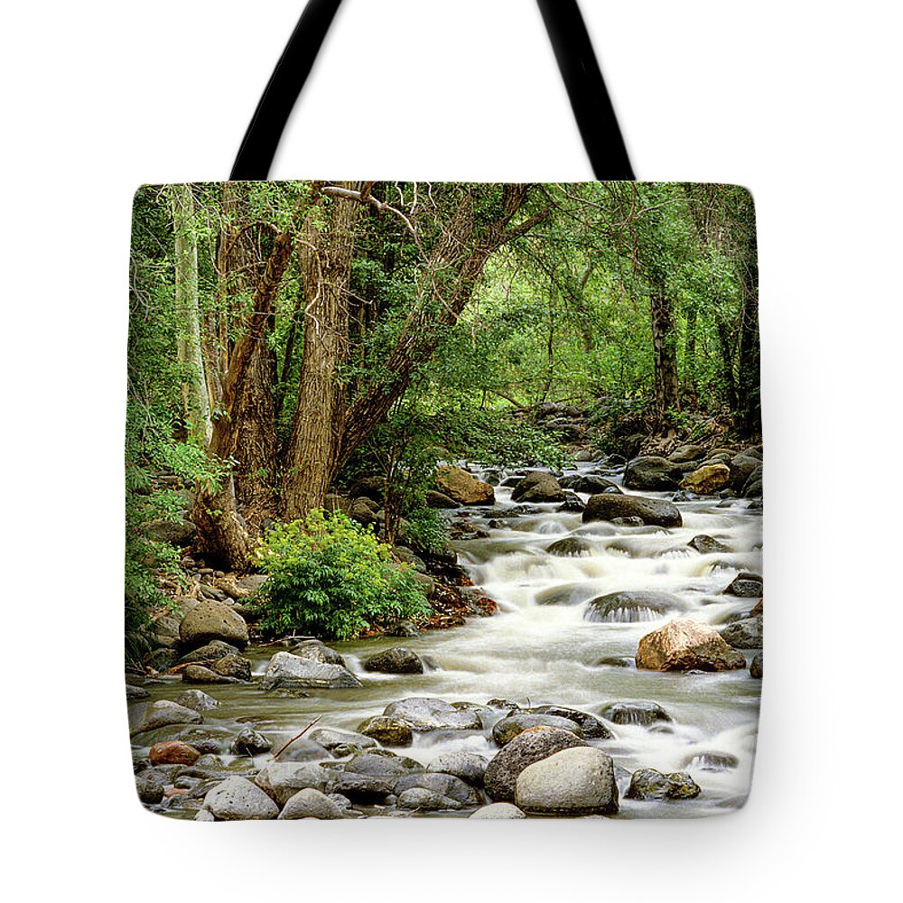 Usa Tote Bag featuring the photograph Grasshopper Point by Randy Bradley