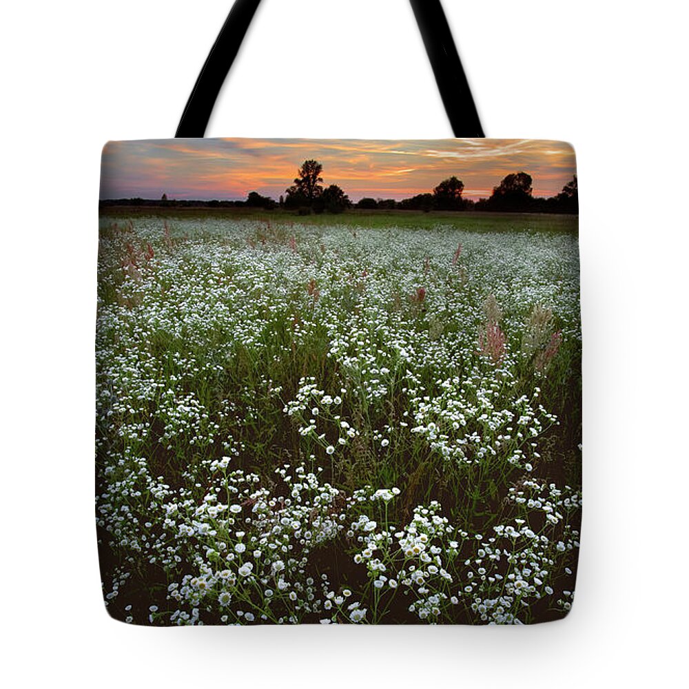 Blossom Tote Bag featuring the photograph Grassland Blossom by Andrii Maykovskyi