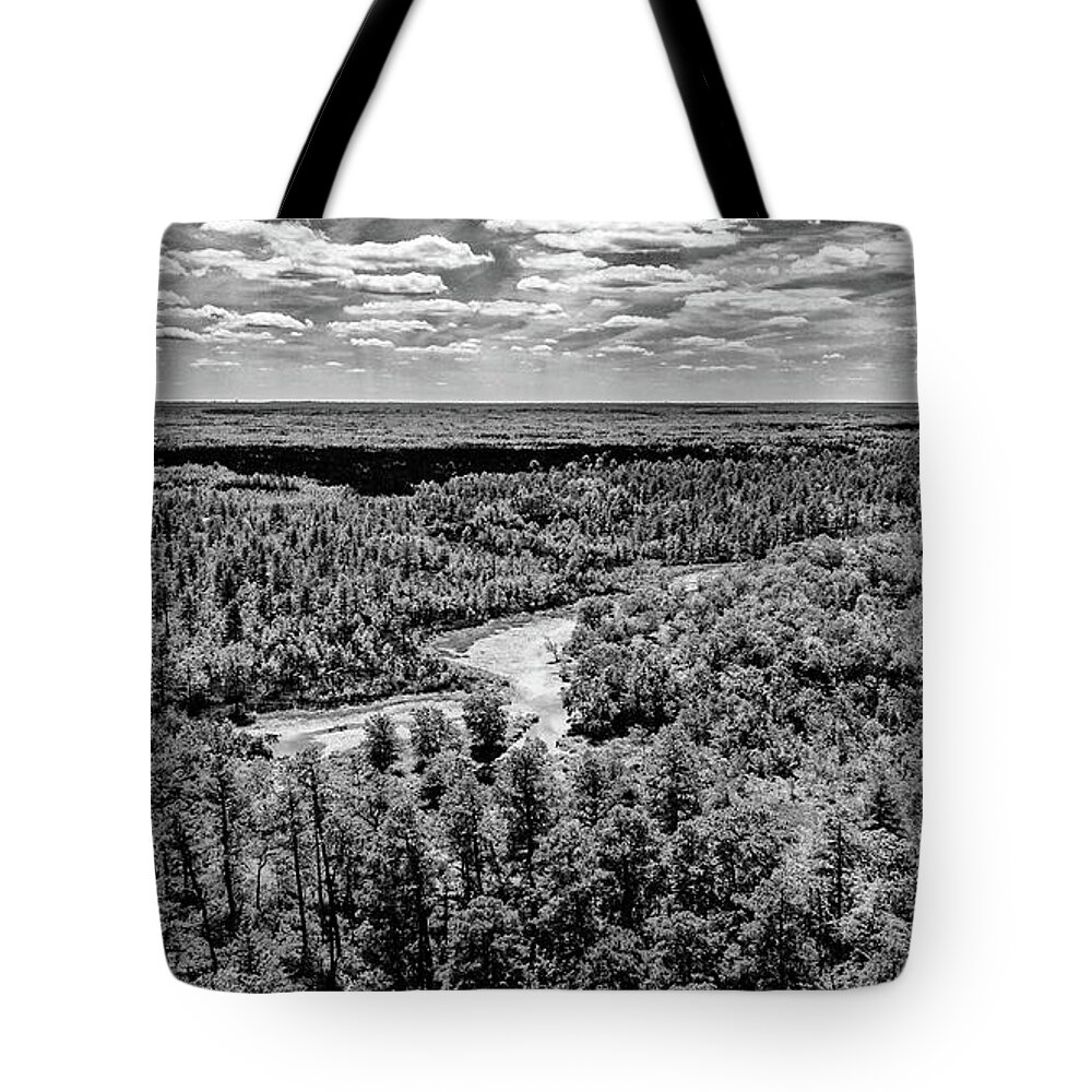 New Jersey Tote Bag featuring the photograph Gray Scale Outdoors Pinelands by Louis Dallara