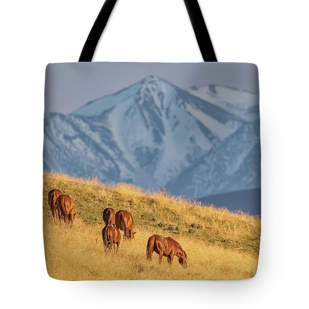 Nevada Tote Bag featuring the photograph Grazing at Sunset by Marc Crumpler