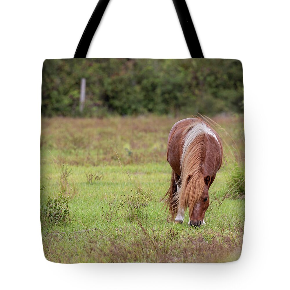 Camping Tote Bag featuring the photograph Grazing Horse #291 by Michael Fryd