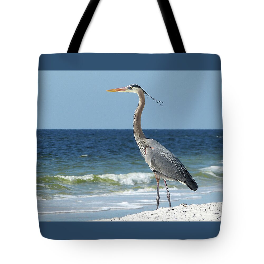 Tote Bag featuring the photograph Great Blue Heron #1 by Carla Brennan