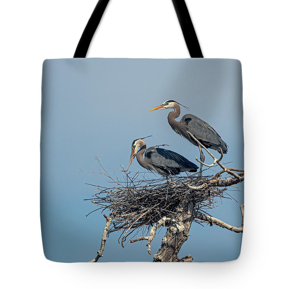 Stillwater Wildlife Refuge Tote Bag featuring the photograph Great Blue Heron 17 by Rick Mosher