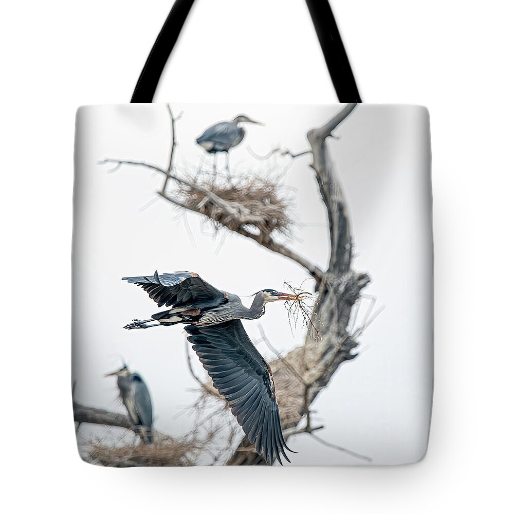 Stillwater Wildlife Refuge Tote Bag featuring the photograph Great Blue Heron 5 by Rick Mosher