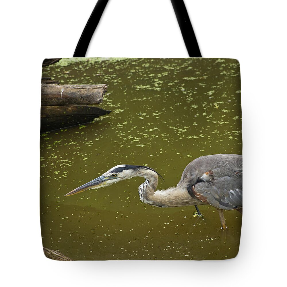 Wildlife Tote Bag featuring the photograph Great Blue Heron - 7535 by Jerry Owens