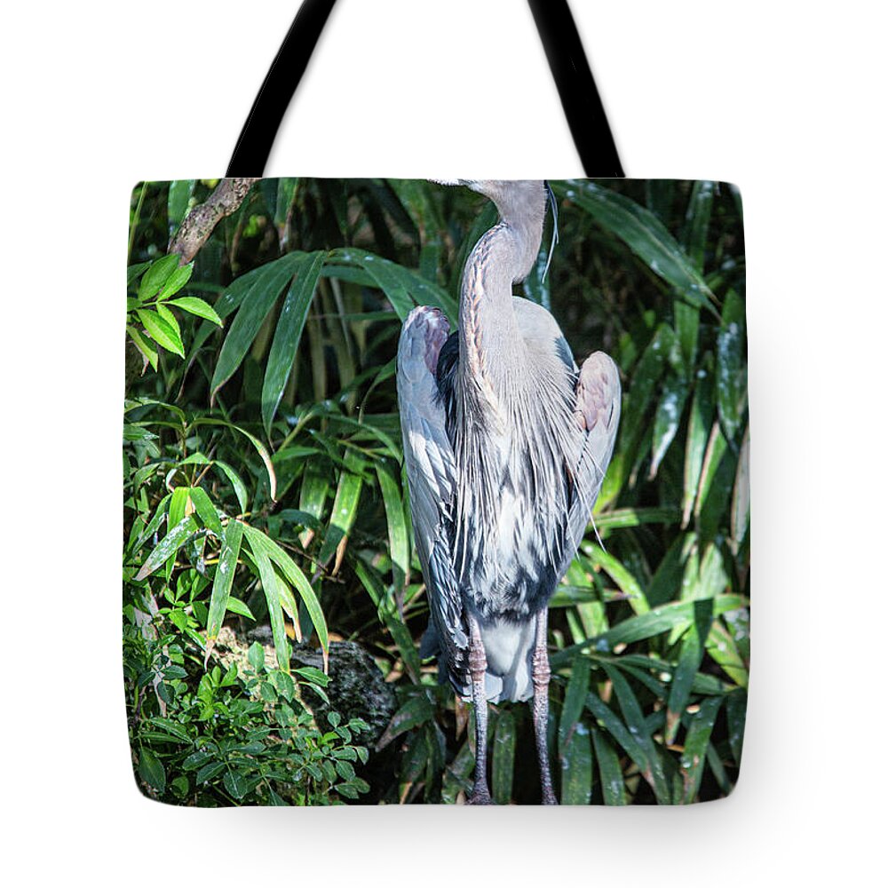 Blue Tote Bag featuring the photograph Great blue heron by Alex Mironyuk