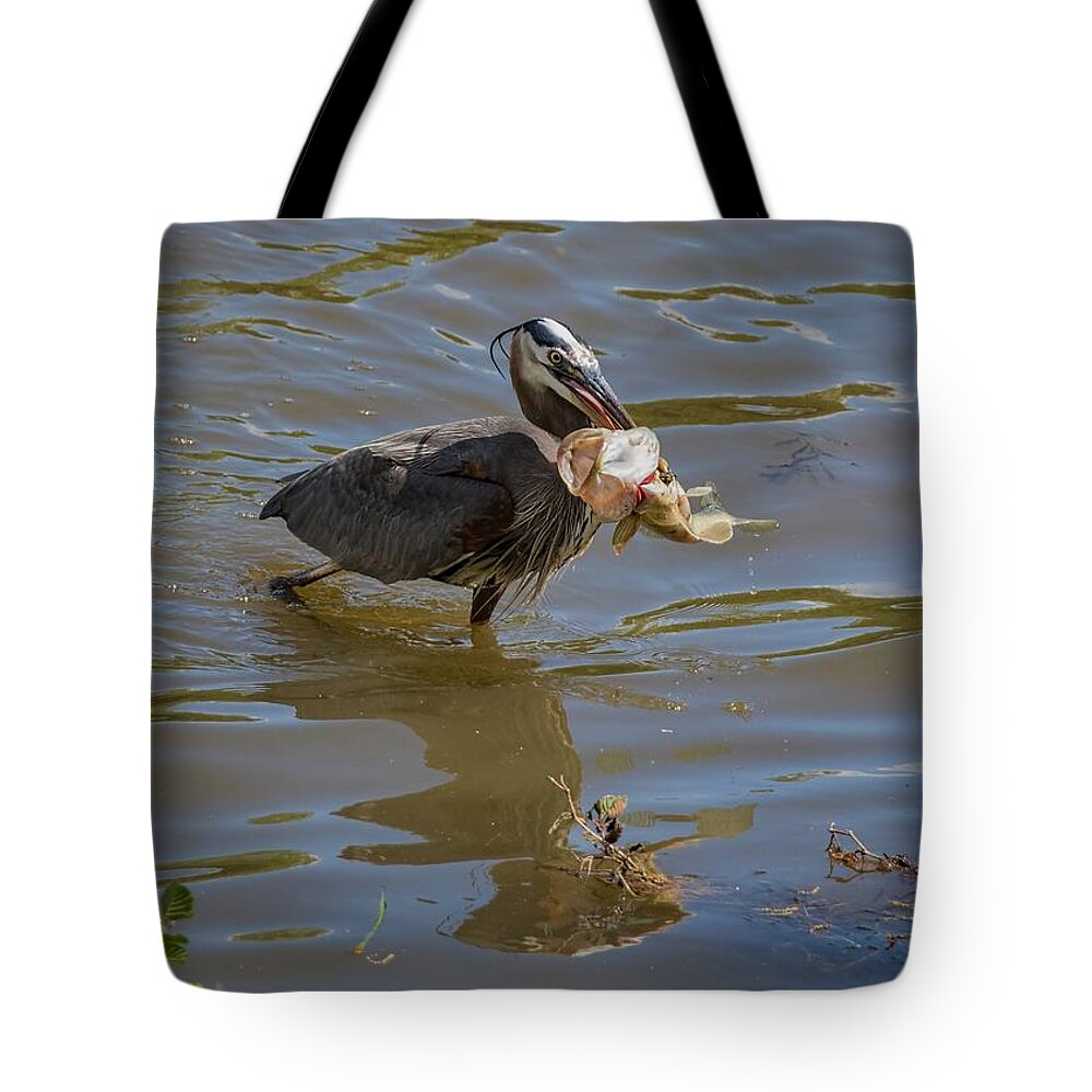 Wildlife Tote Bag featuring the photograph Great Blue Heron and Bass - Caught by Ron Grafe