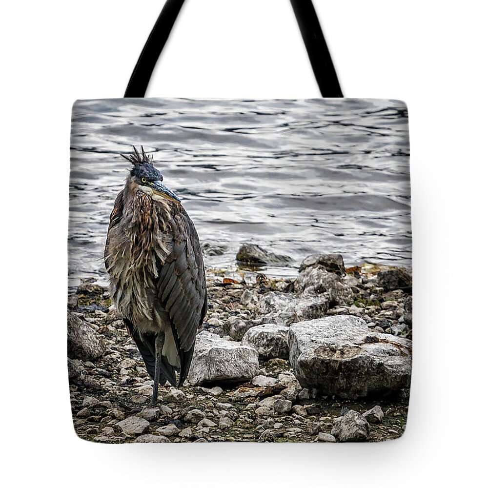 Great Blue Heron Tote Bag featuring the photograph Great Blue Heron at Carmen Reservoir, No. 1 by Belinda Greb