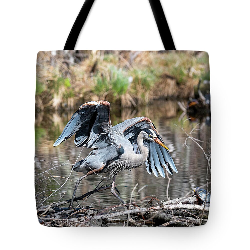 Afternoon Tote Bag featuring the photograph Great Blue Heron at the Needham Reservoir by Ilene Hoffman