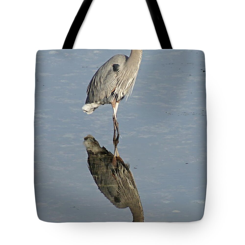 Harbor Tote Bag featuring the photograph Great Blue Heron by Bill TALICH