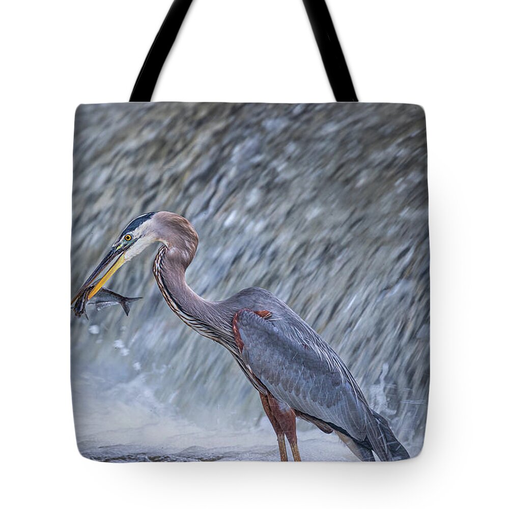 Great Blue Heron Tote Bag featuring the photograph Great Blue Heron Catches Meal by Jordan Hill