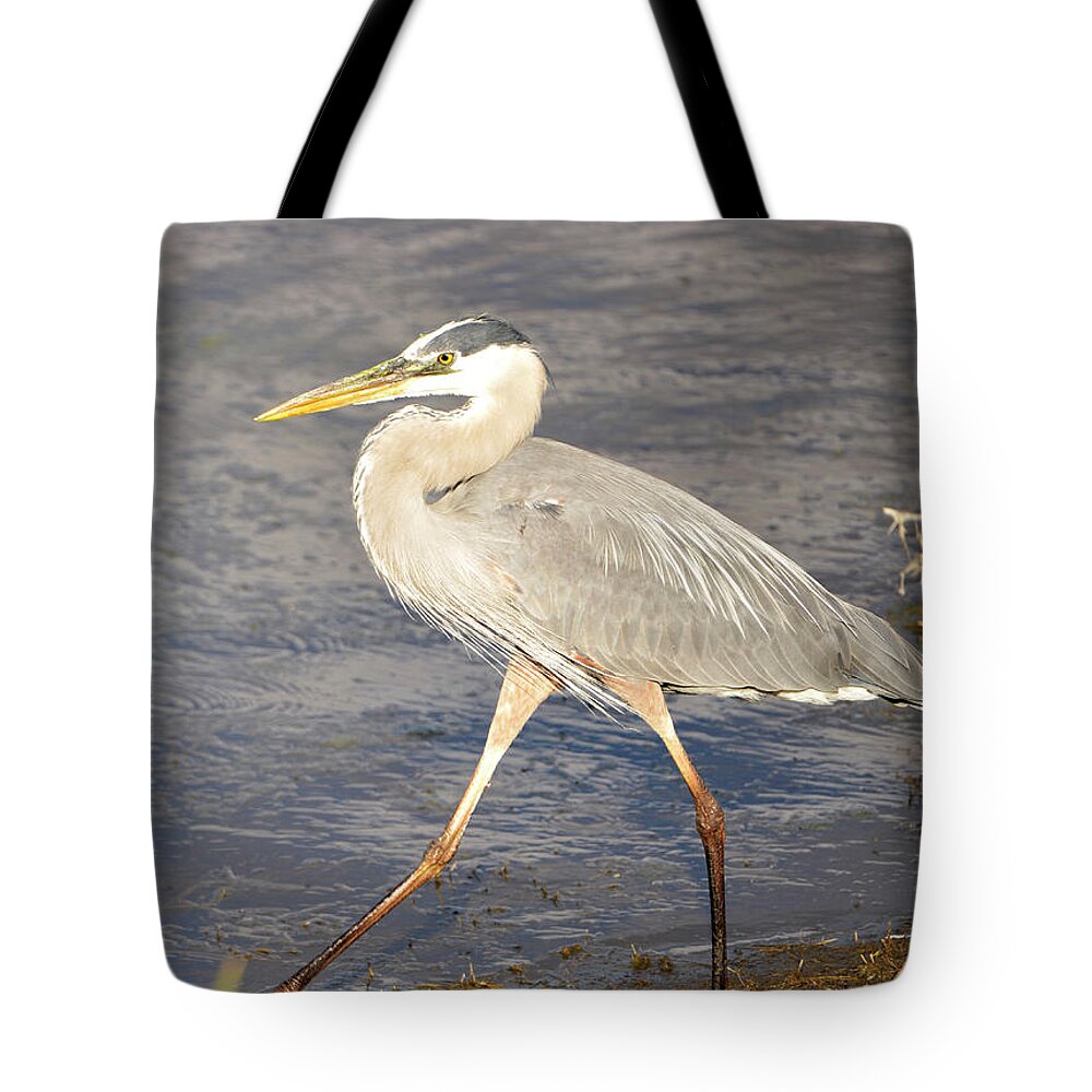 Denise Bruchman Photography Tote Bag featuring the photograph Great Blue Heron Evening Stroll by Denise Bruchman