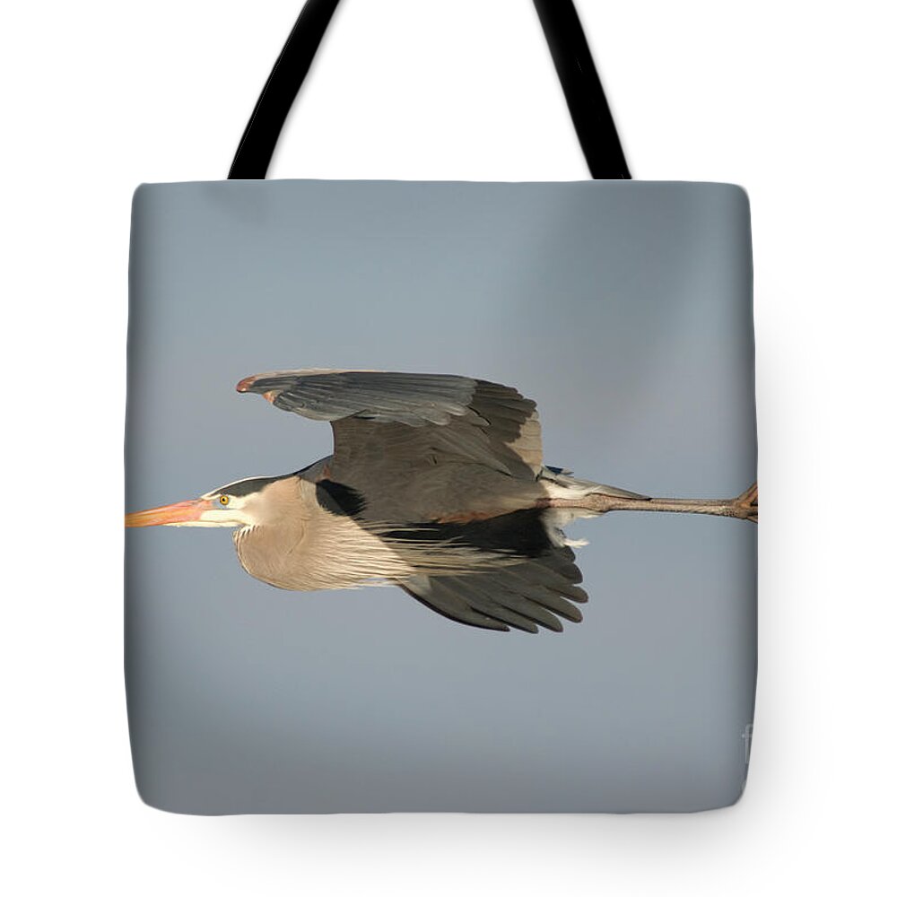 00478500 Tote Bag featuring the photograph Great Blue Heron Flying by Steve Gettle
