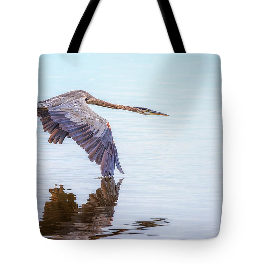 Great Blue Heron Tote Bag featuring the photograph Great Blue Heron Flying by Susan Rissi Tregoning