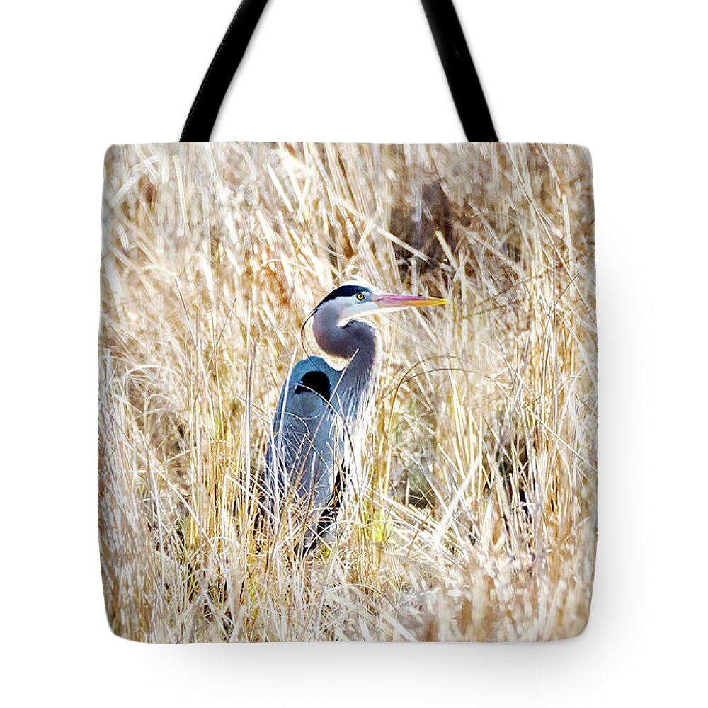 2d Tote Bag featuring the photograph Great Blue Heron In Marsh Grass by Brian Wallace