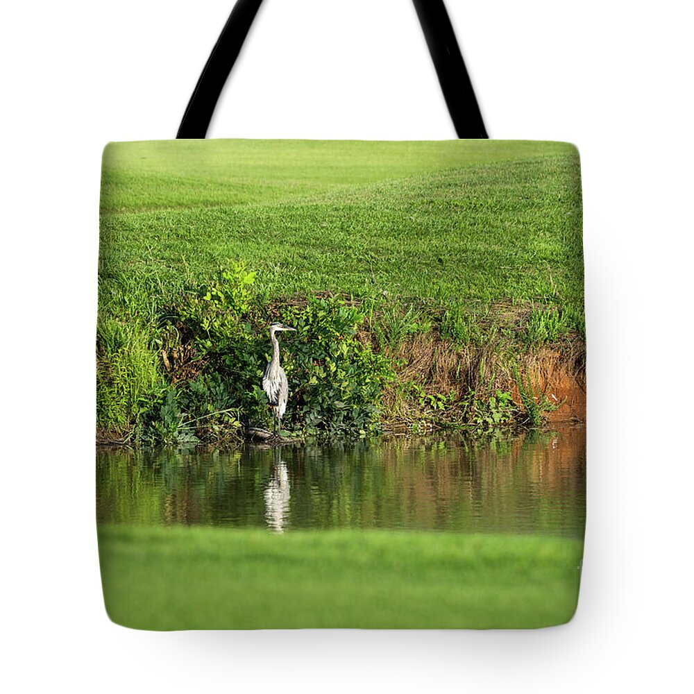 Great Blue Heron Tote Bag featuring the photograph Great Blue Heron Pond Fishing by Jennifer White