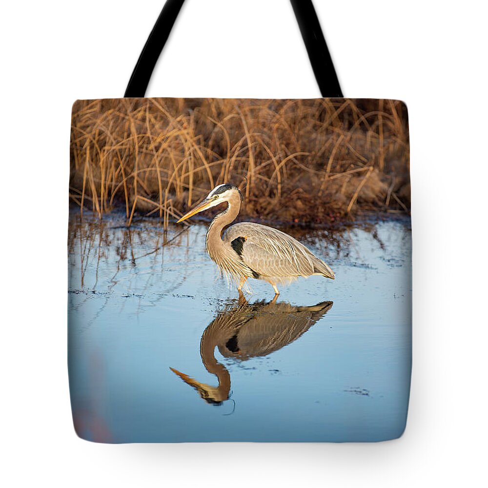 Back Bay Tote Bag featuring the photograph Great Blue Heron Reflection by Donna Twiford