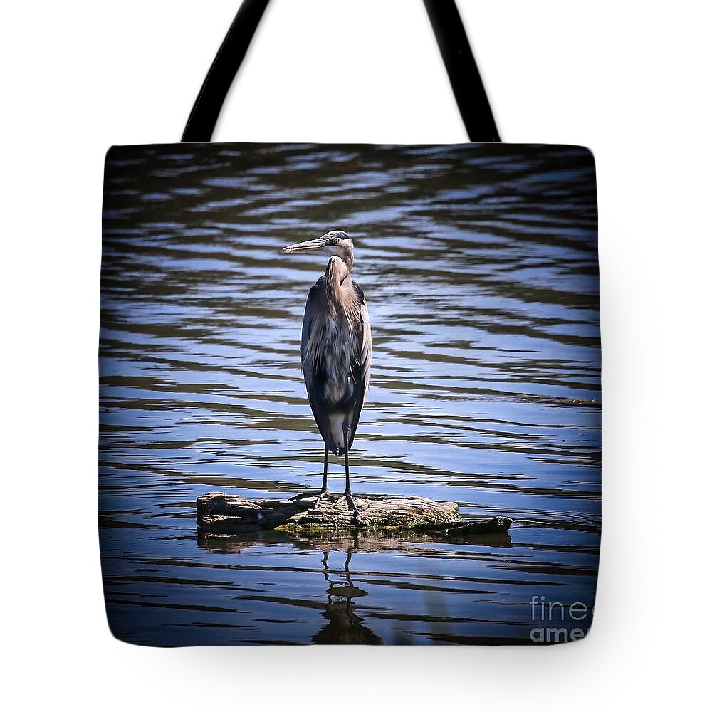 Heron Tote Bag featuring the photograph Great Blue Heron by Veronica Batterson