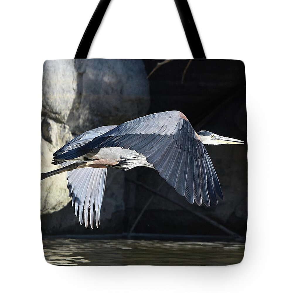 Heron Tote Bag featuring the photograph Great Blue on the Wing by Ben Foster
