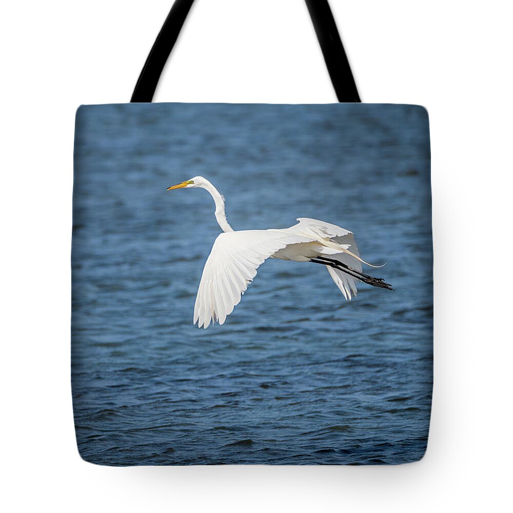 Debra Martz Tote Bag featuring the photograph Great Egret South Padre Island by Debra Martz