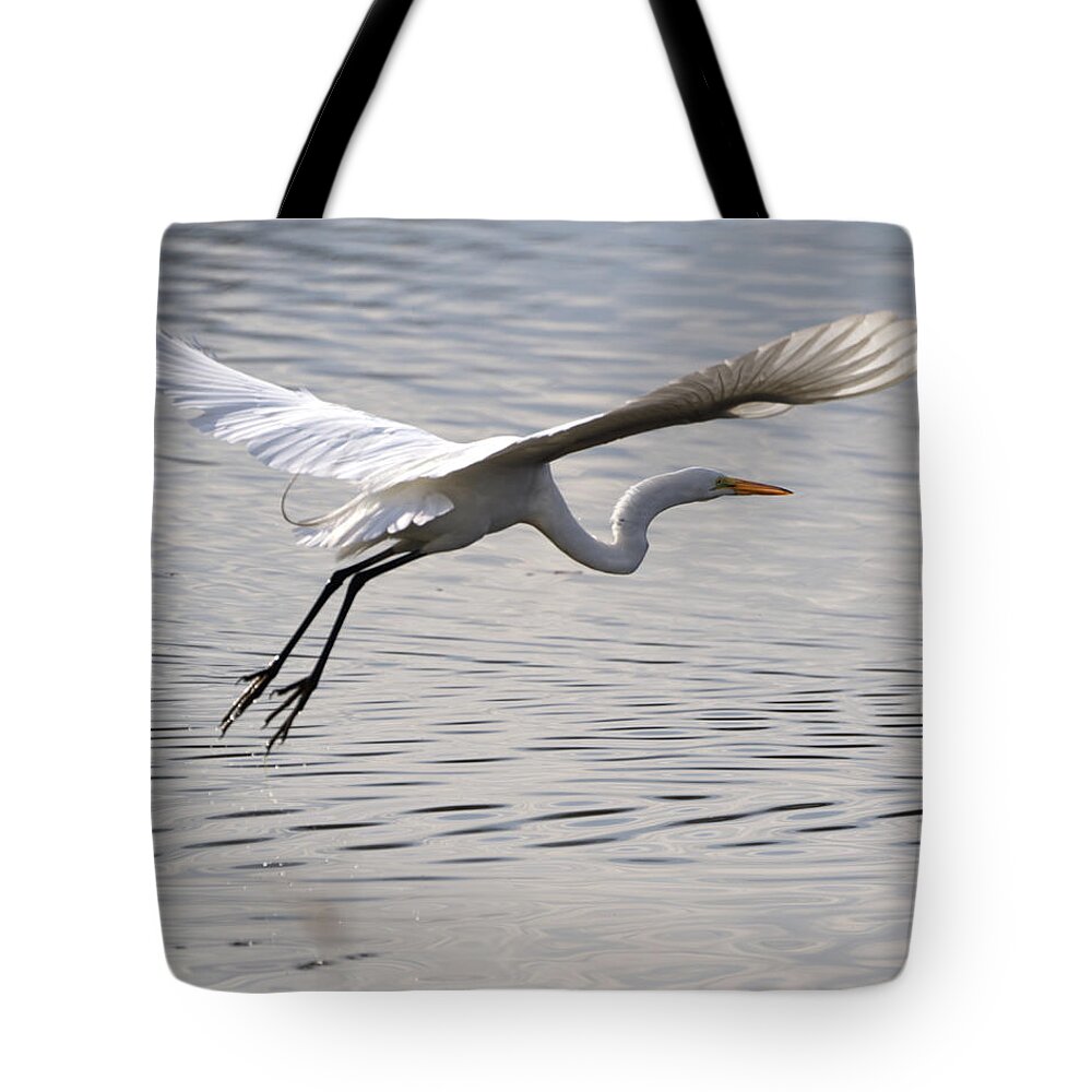 Egret Tote Bag featuring the photograph Great Egret Wingspan by Flinn Hackett