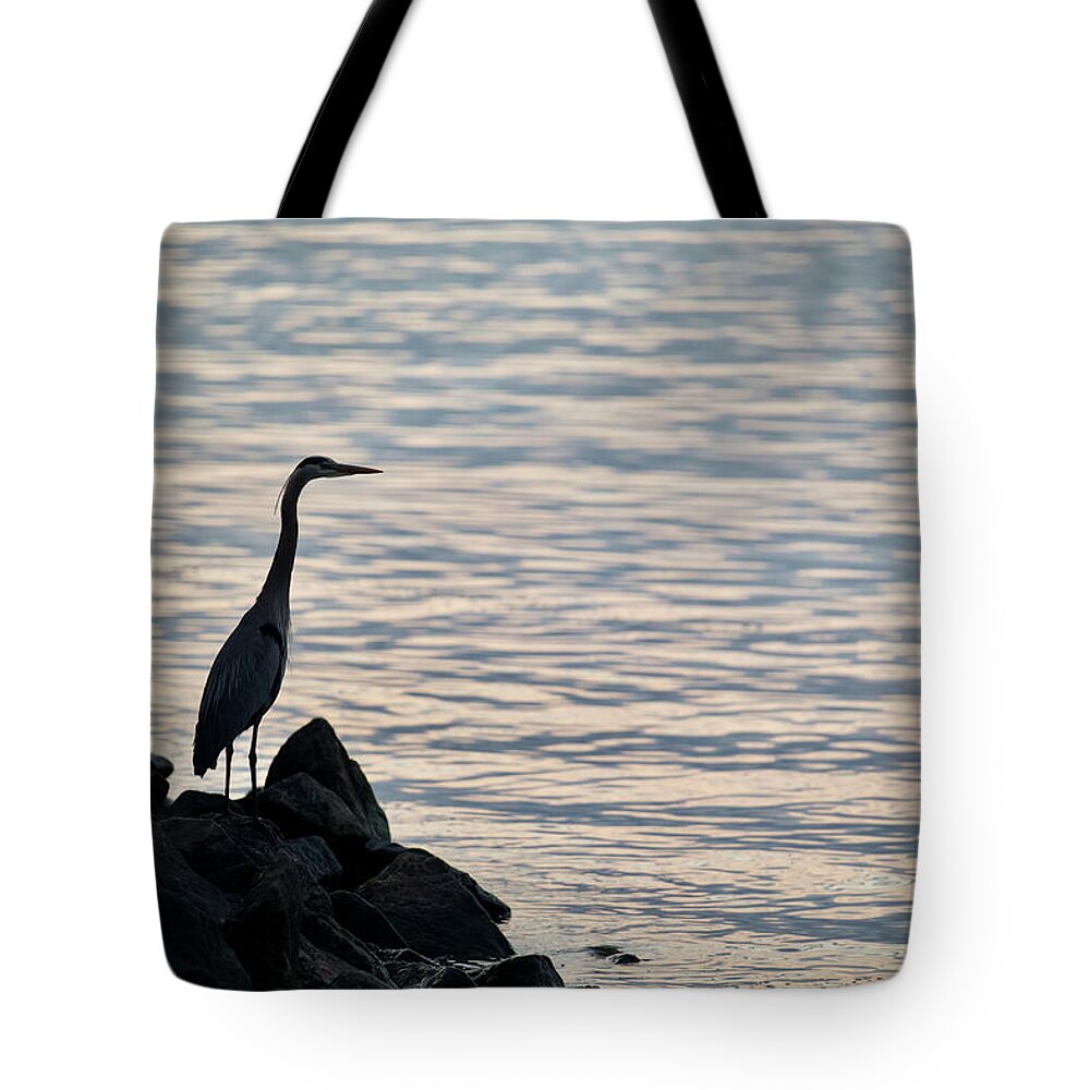 Great Blue Heron Tote Bag featuring the photograph Great Heron at Dusk by Rachel Morrison