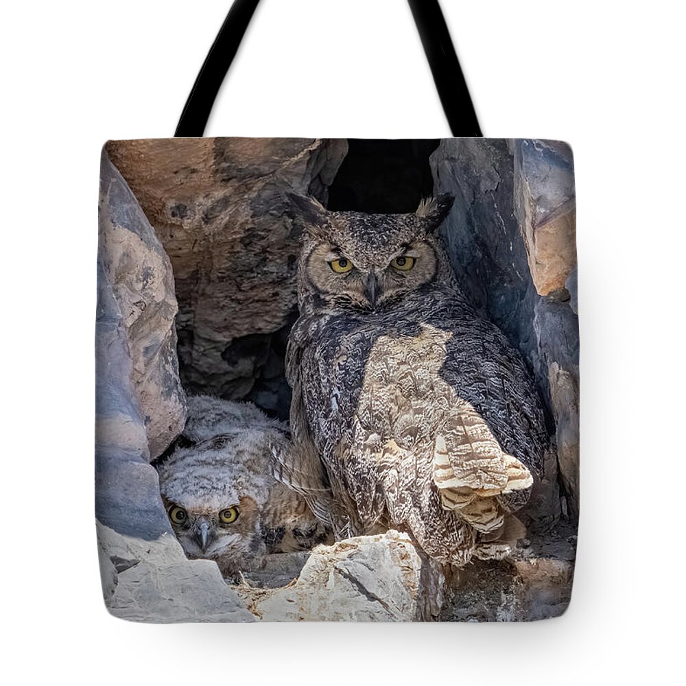 Owl Tote Bag featuring the photograph Great Horned Owl Nest by Wesley Aston