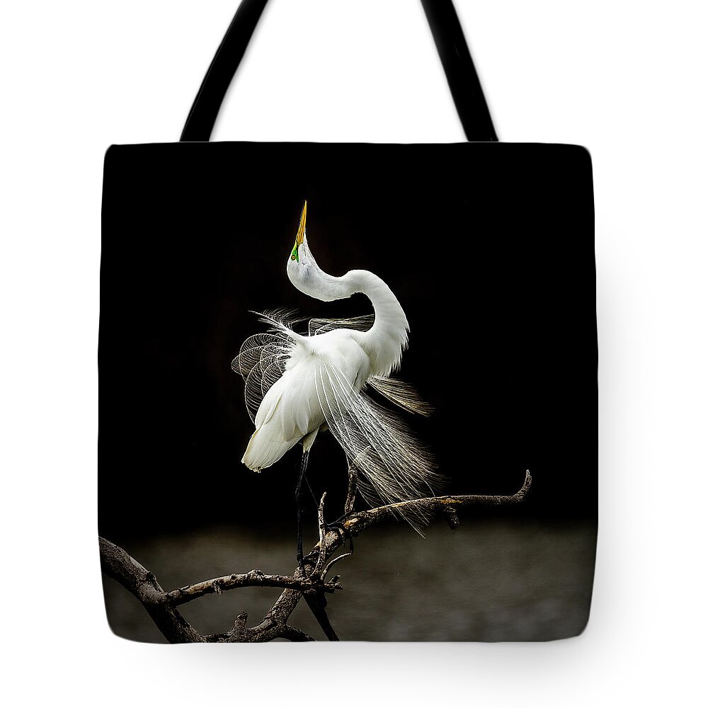 Egret Tote Bag featuring the photograph Great White Egret Feathers III by Patti Deters