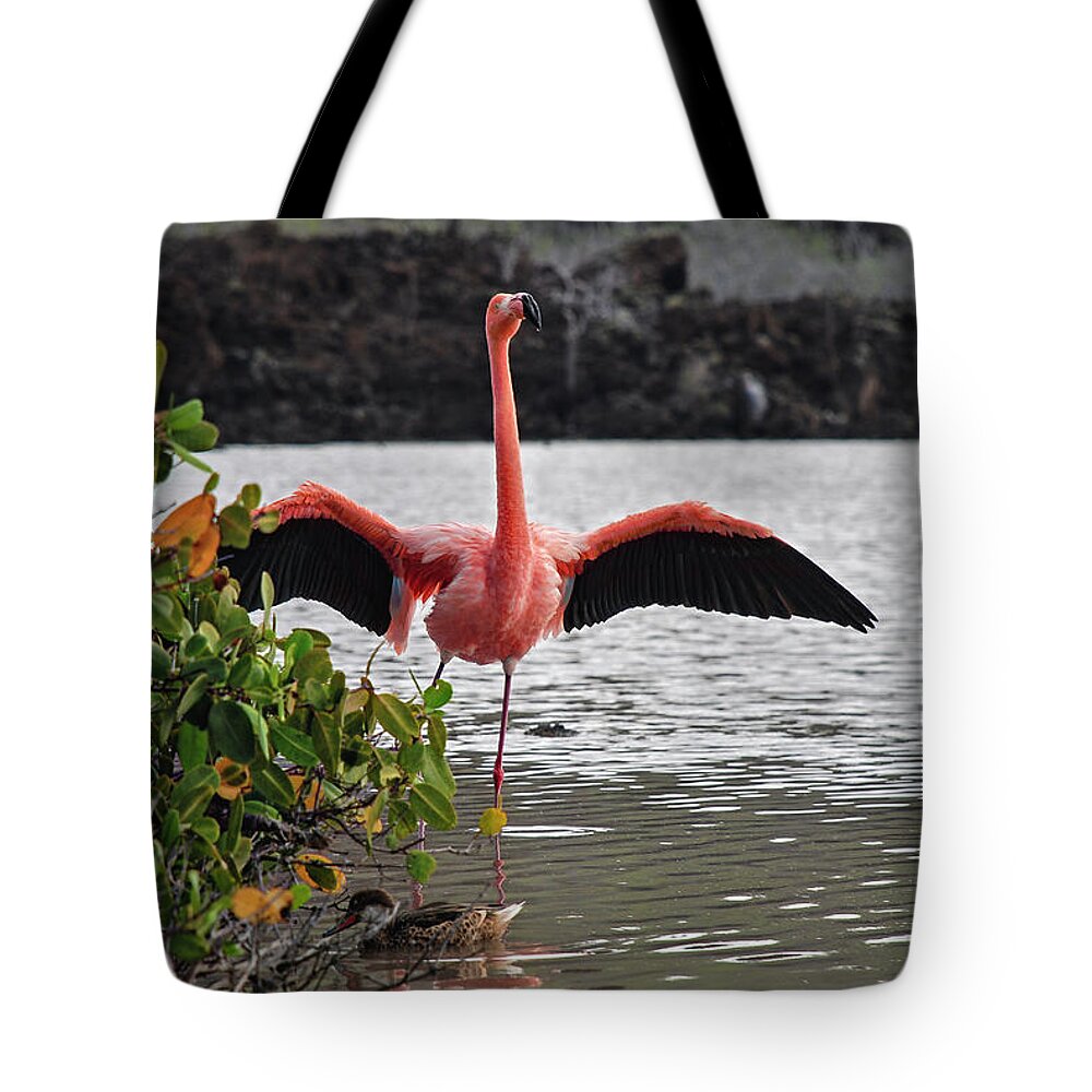 American Flamingo Tote Bag featuring the photograph Greater Flamingo or American Flamingo - Galapagos by Henri Leduc