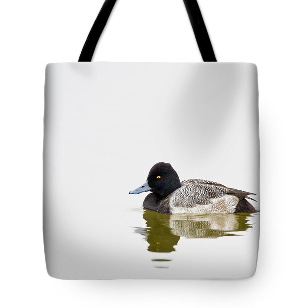 Greater Scaup Tote Bag featuring the photograph Greater Scaup Duck on Lake Mattmuskeet by Bob Decker