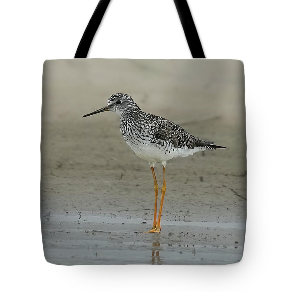 Bird Tote Bag featuring the photograph Greater Yellowlegs by Alan Lenk