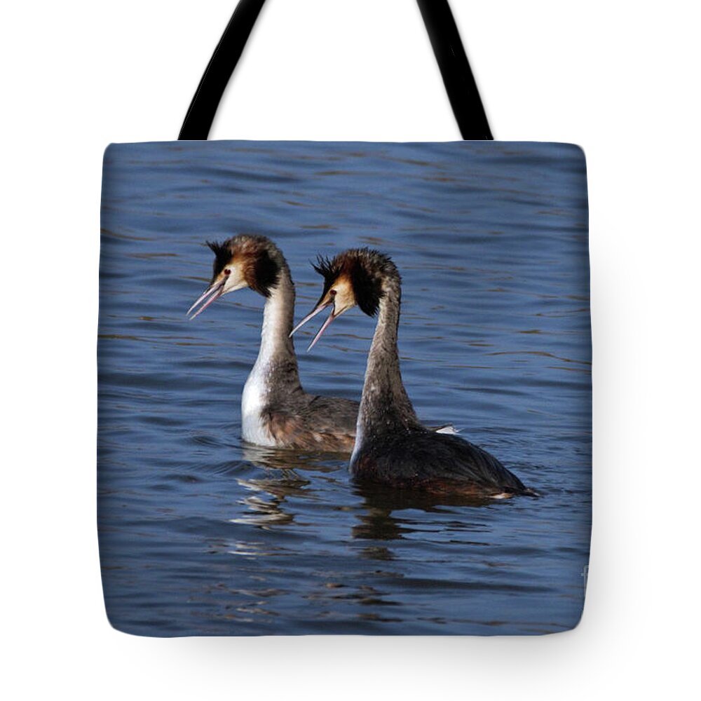 Birds Tote Bag featuring the photograph Grebes Dancing by Stephen Melia