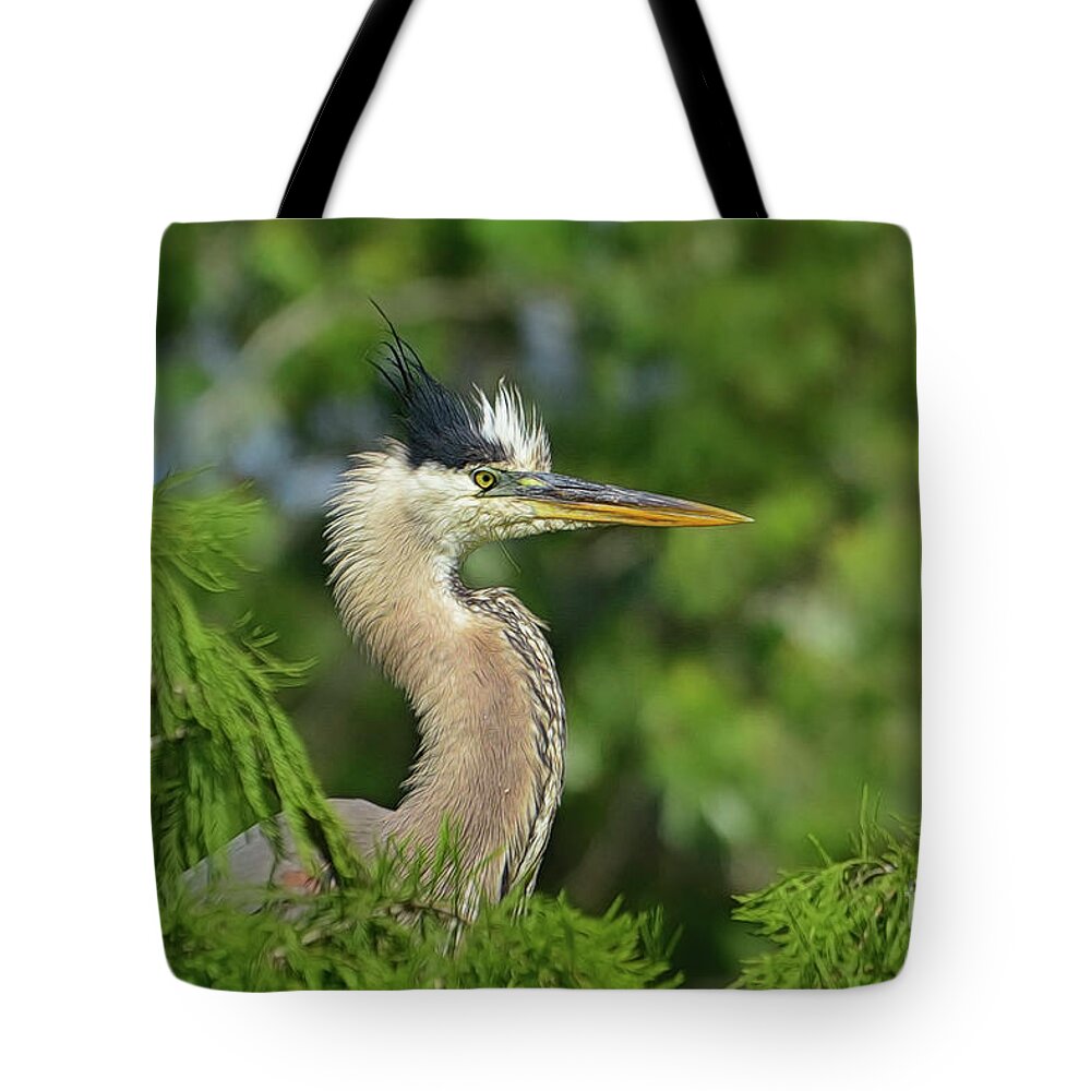 Blue Heron Tote Bag featuring the photograph Green Blue Heron in the Cypress trees. by Kathy Baccari