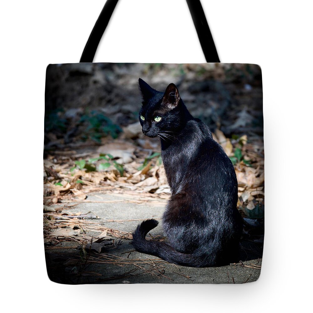 Cat Tote Bag featuring the photograph Green Eyes by DArcy Evans