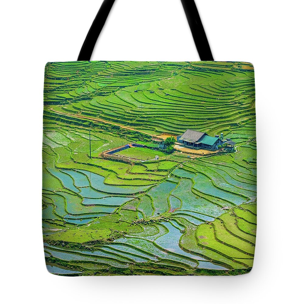 Black Tote Bag featuring the photograph Green Field Terraces by Arj Munoz