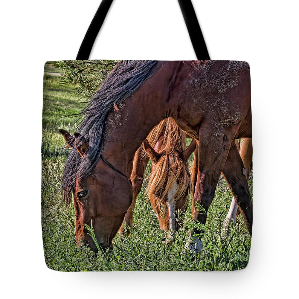 Horses Tote Bag featuring the photograph Green Grass and Mud by Alana Thrower
