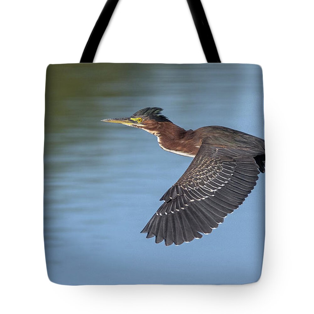 Green Heron Tote Bag featuring the photograph Green Heron 2201-111121-2 by Tam Ryan