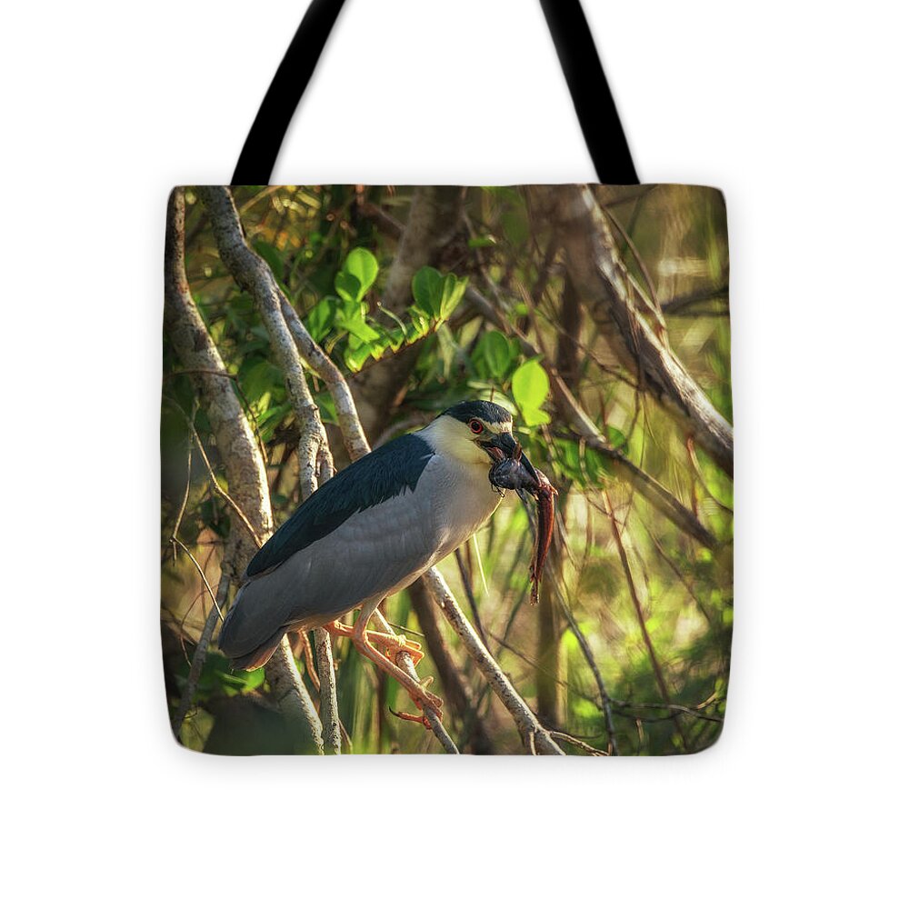 Animal Tote Bag featuring the photograph Green Heron's Catch by Framing Places