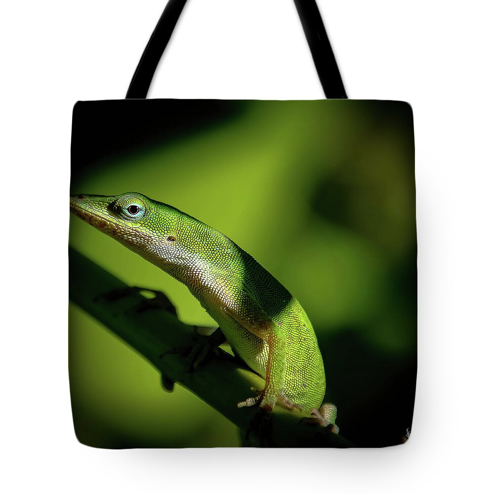 Green Tote Bag featuring the photograph Green Lizard by Pam Rendall