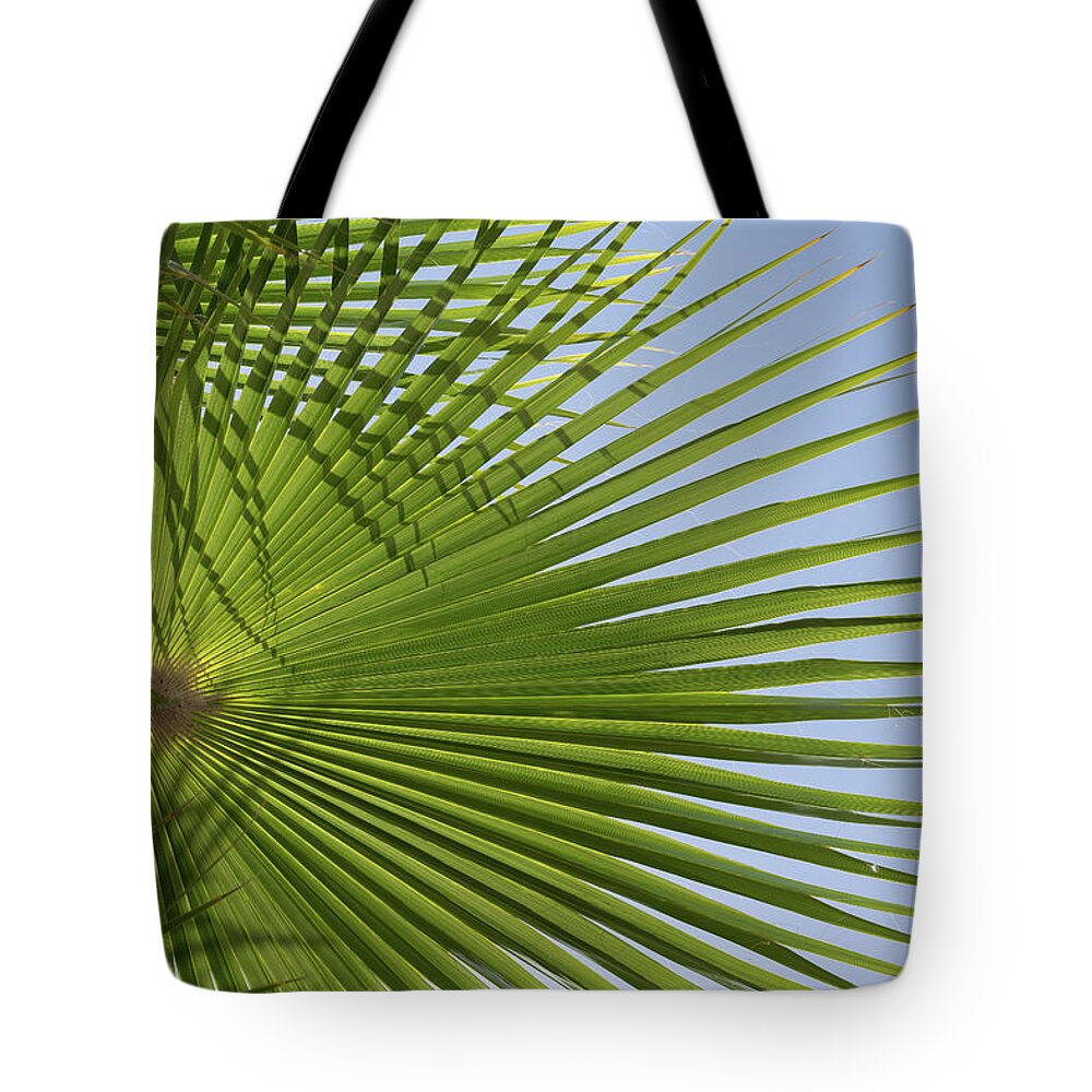 Palm Leaf Tote Bag featuring the photograph Green palm leaf and blue sky, beach season by Adriana Mueller